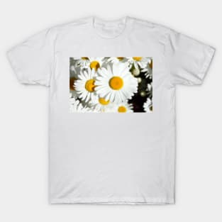 daisies T-Shirt